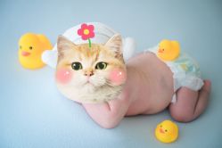 -玛瑞莎专业孕妇摄影(越秀店)
