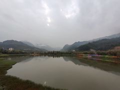 -后柳水乡