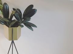 景观位-双风车咖啡馆 Twin Windmills(六道口店)