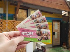 -宫城藏王狐狸村