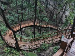 -大岭沟猕猴桃谷风景区