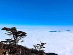 -峨眉山风景名胜区