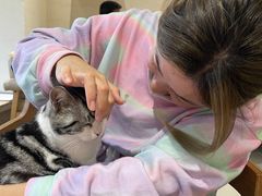 -藏猫猫咖啡主题馆(中央大道店)