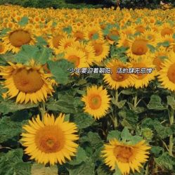 -Oasis Beauty水磨坊科技美肤中心