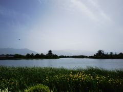 -渼陂湖