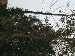 -玉渡山风景区-售票处