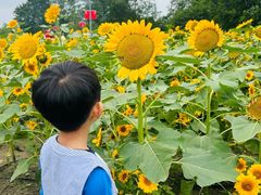 -中国天府农业博览园