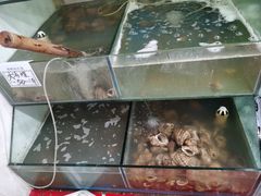 水产区-雅逸居海鲜小厨