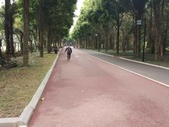 -南宁南湖公园