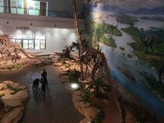 -自贡恐龙博物馆