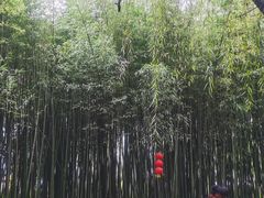 -竹泉村旅游度假区