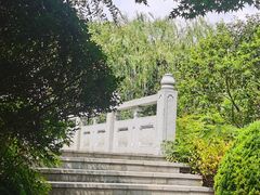 -汤山公园