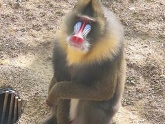 -杭州野生动物世界