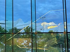 -桃花源中餐厅(金茂豪华精选酒店)