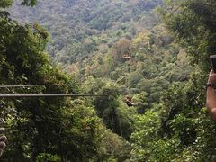-清迈丛林飞跃 JungleFlight