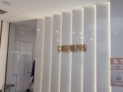 -COSMO PRO造型