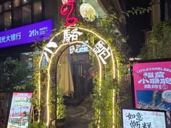 -福苗小骆驼烧烤(莲湖路店)