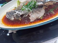 -新南华大酒店(广中店)
