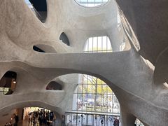 -美国自然历史博物馆