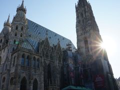 -斯蒂芬主教座堂(Stephansdom)