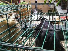 -百丈园(陈村店)