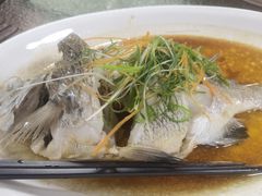 -渔人金景(湛江·渔人码头店)
