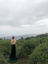 点击看大图 -宁海苏格摄影