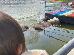 -莲湖公园