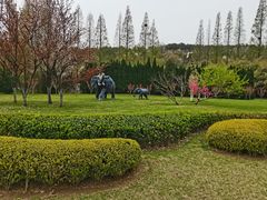 -棒棰岛宾馆景区