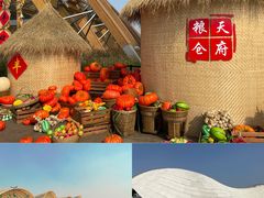 -中国天府农业博览园