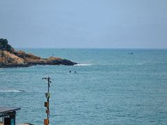 -广东惠东海龟国家级自然保护区