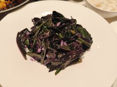 血皮菜-贡宴盐帮菜自贡驻京联络处餐厅
