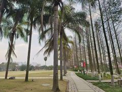 -江心屿景区