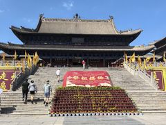 -大槐树寻根祭祖园