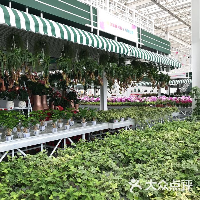 滨海国际花卉科技园区