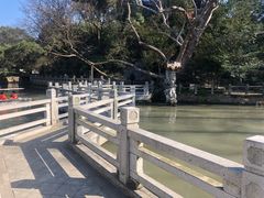 -汇龙潭