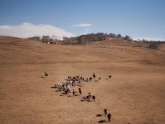 -塞罕坝国家级自然保护区