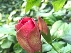 -南通洲际绿博园