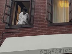 -溪岸路花鸟市场