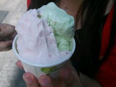 西柚和番石榴-柠檬车露(卖草地店)