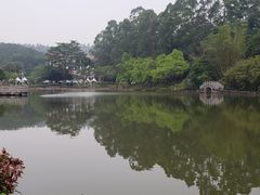 -三水森林公园