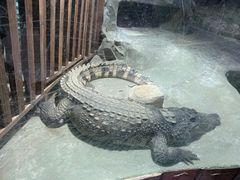 -上海大自然野生昆虫馆