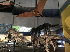 -湖南省地质博物馆