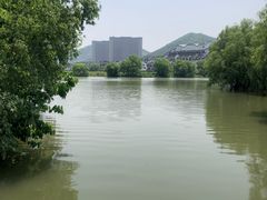 -长兴太湖图影湿地文化园