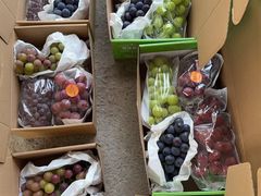 -马陆小张葡萄园农家乐