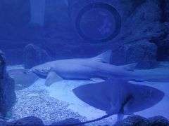 -常州海昌海洋探索馆