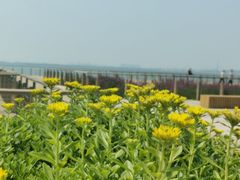 -东疆建设开发纪念公园