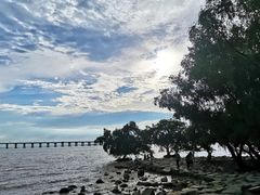 -宝安西湾红树林湿地公园