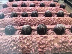 -奈雪的茶(皇庭广场店)