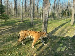 -北京野生动物园
